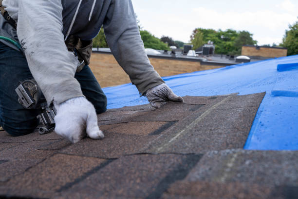 Best Residential Roofing Contractor  in Sunman, IN